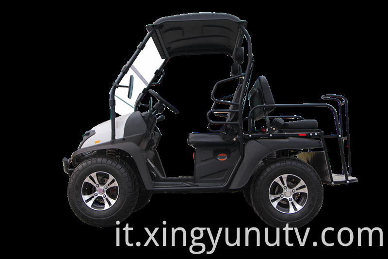 2021 Vendita calda di alta qualità 5kw Electric UTV EEC CEE Electric Golf Cart